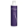 Brocato Supersilk Professional Detoxify Shampoo 10oz